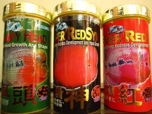 Thức Ăn Của Cá La Hán Đen Quý Hiếm