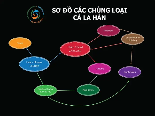 Cá La Hán Kim Cương Phúc Lộc Thọ