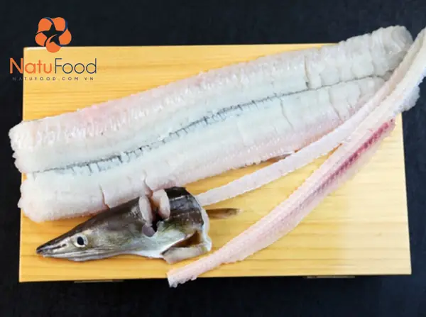 Cá Lạc Là Cá Gì