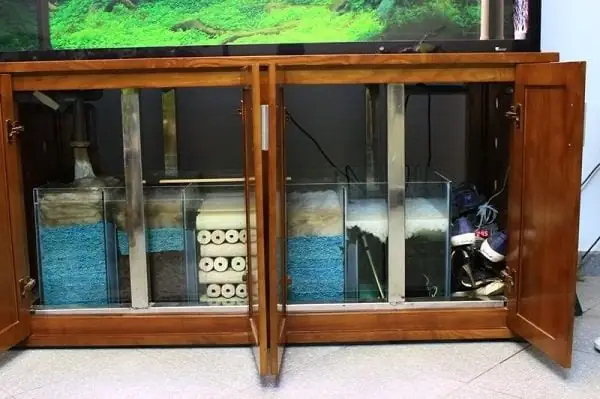 Vì Sao Bạn Cần Đảm Bảo Cách Làm Bộ Lọc Nước Bể Cá Cảnh Thủy Sinh Đúng Tiêu Chuẩn Kỹ Thuật