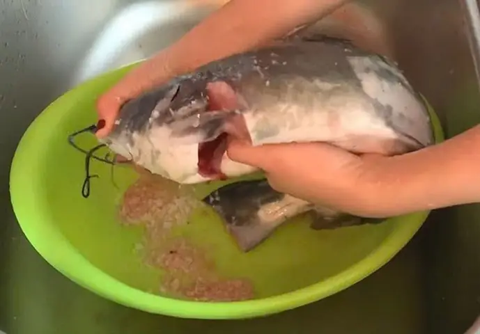 Bước 1: Chuẩn Bị Nguyên Liệu