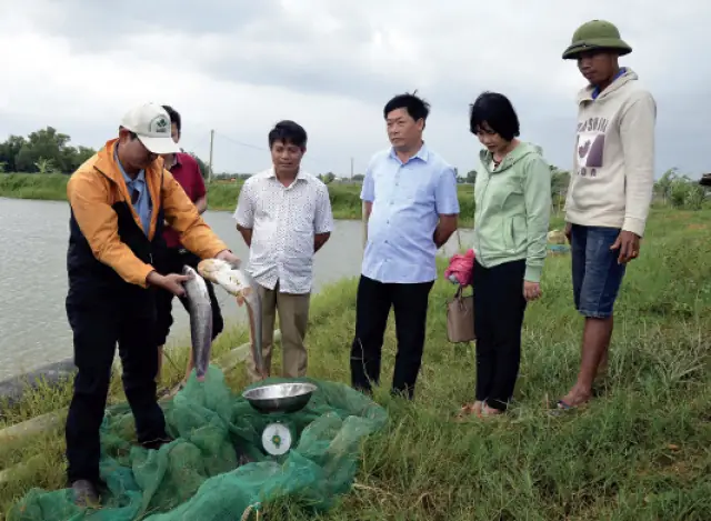 Nuôi Cá Leo Trong Ao Đất – Tạp Chí Thủy Sản Việt Nam