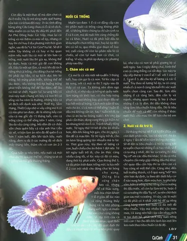 Nuôi Cá Đá Trừ Bị