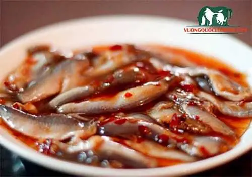 Cá Chiên Bột Cá Chiên Bột