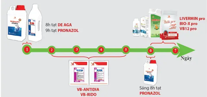 Dấu Hiệu Nhận Biết Cá Lóc Bị Ghẻ
