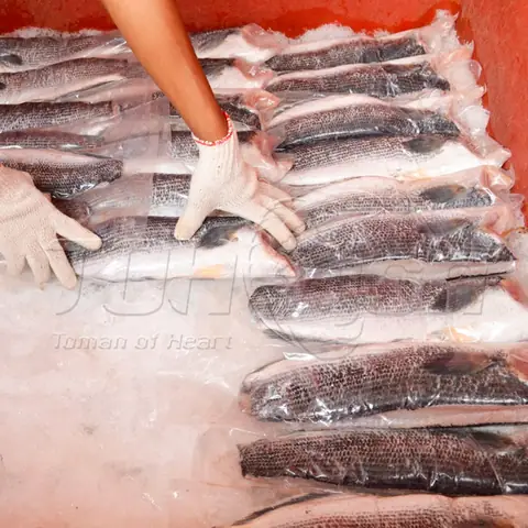 Vì Sao Nên Bổ Sung Món Cá Lóc Bông Phi Lê Bướm Của Toh Fish Trong Bữa Cơm Gia Đình?