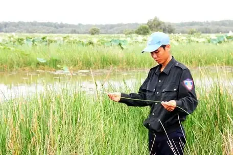 Nỗ Lực Bảo Tồn Các Loài Cá Quý Hiếm, Có Loài Cá Lóc Bông To Bự, Cá Tra "khổng Lồ"