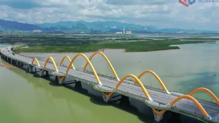 Nỗ Lực Bảo Tồn Các Loài Cá Quý Hiếm, Có Loài Cá Lóc Bông To Bự, Cá Tra "khổng Lồ"