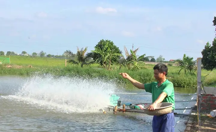 Khu Bảo Tồn Đất Ngập Nước Láng Sen-cây Cỏ Mọc Tự Nhiên