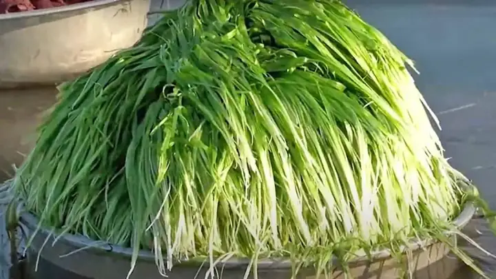 Khu Bảo Tồn Đất Ngập Nước Láng Sen-cây Cỏ Mọc Tự Nhiên