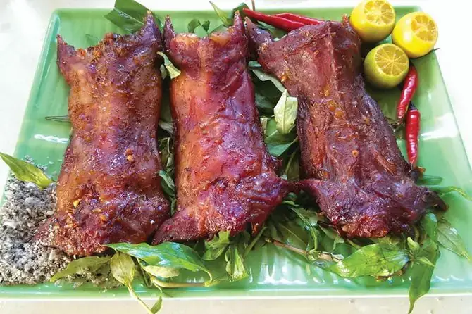 Hướng Dẫn Nuôi Cá Lóc Bông Sen Khỏe Mạnh Tại Nhà