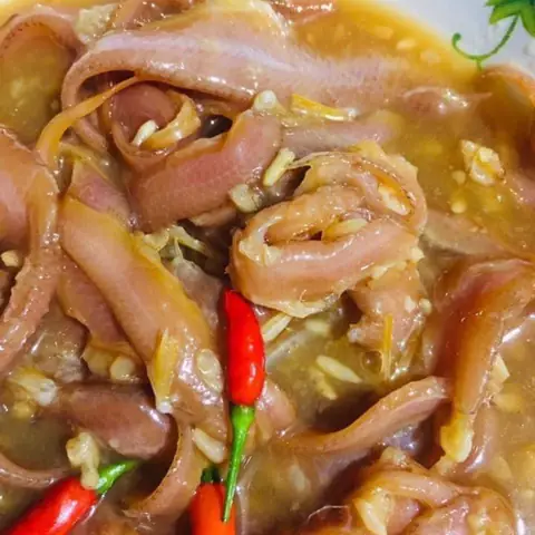 Cá Mào Gà Đỏ: Đặc Điểm, Tập Tính Và Ý Nghĩa Sinh Thái Của Loài Cá Cảnh Độc Đáo