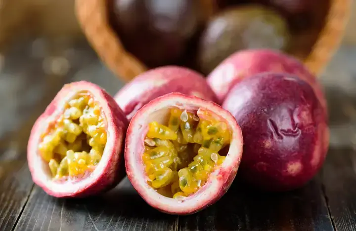 Đặc Điểm Sinh Học Và Phân Loại