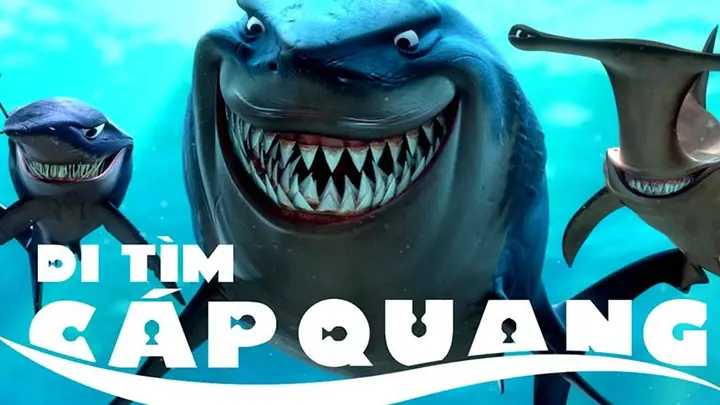 Cá Mập Cắn Đứt Cáp Quang, Câu Nói Đùa Và Sự Thật Bất Ngờ