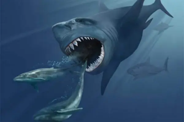 Cá Mập Khổng Lồ Megalodon Vẫn Còn Sống Dưới Biển Sâu? Cá Mập Khổng Lồ Megalodon Vẫn Còn Sống Dưới Biển Sâu?