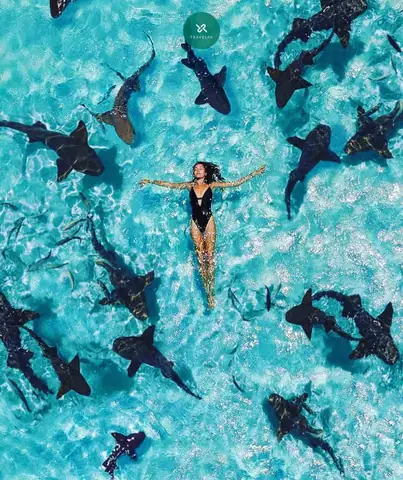 Mã¹a Mæ°a Tá»« Thã¡ng 5 Äáº¿n Thã¡ng 10