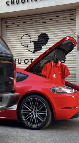 Cá Mập Sọc Trắng