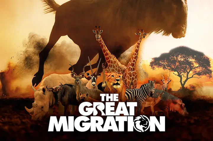 Zoomersion - Vườn Thú Woodland Park