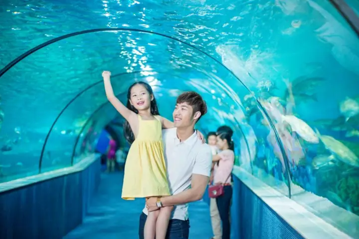 [times City Hà Nội] - Vé Vào Cửa Trực Tiếp Thuỷ Cung Vinpearl Aquarium