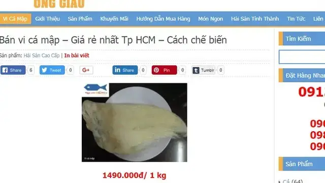 Cá Mập Vây Cao: Loài Cá Mập Với Đôi Vây Dài Ấn Tượng