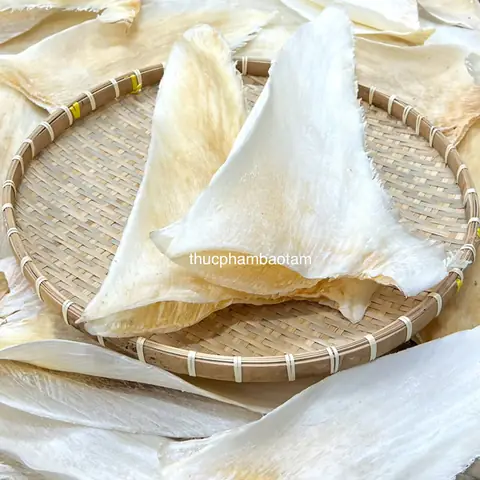 Cá Mập Vây Cao: Loài Cá Mập Với Đôi Vây Dài Ấn Tượng