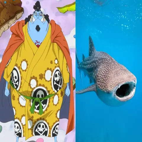 Cá Mập Voi Là Gì? Loài Cá Khổng Lồ Dưới Đại Dương Cá Mập Voi Là Gì? Loài Cá Khổng Lồ Dưới Đại Dương