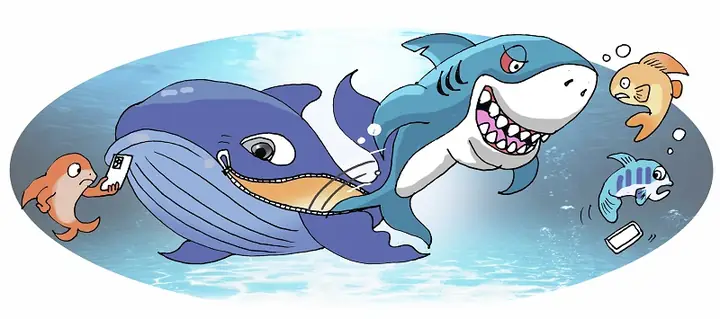 Cá Mập Voi Và Cá Voi Xanh: So Sánh Chi Tiết Hai "cực Phẩm" Khổng Lồ Của Đại Dương