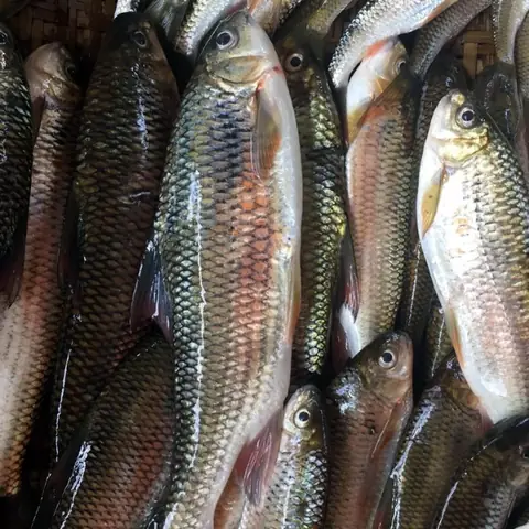 Thiết Kế Chưa Có Tên (4) Thiết Kế Chưa Có Tên (4)