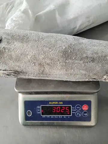 Cá Thu Đen Nguyên Con ( Cá Mắt Ngọc) - Vgvina Seafood