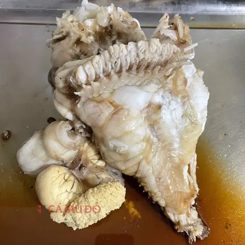 Cách Làm Cá Mặt Quỷ Hấp Hồng Kông