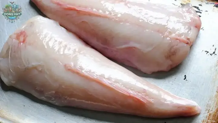 Giá Trị Dinh Dưỡng Và Ẩm Thực Của Cá Mặt Quỷ