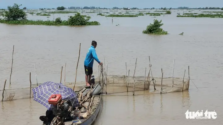 Vườn Quốc Gia Tràm Chim Hồi Sinh Rực Rỡ Giữa Mùa Nước Nổi