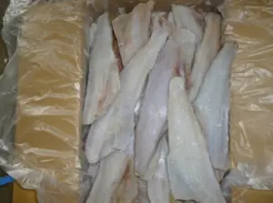 Cá Mú Nhật Bản