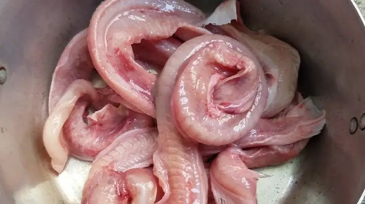 Cách Sơ Chế Cá Ninja Không Tanh