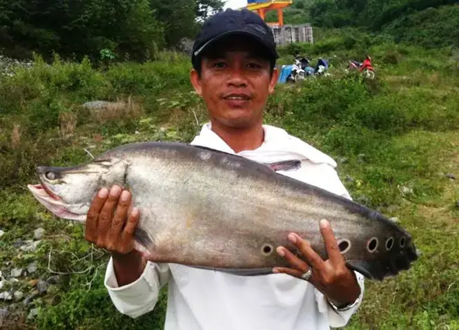 Kiểm Tra Môi Trường Nuôi Kiểm Tra Môi Trường Nuôi