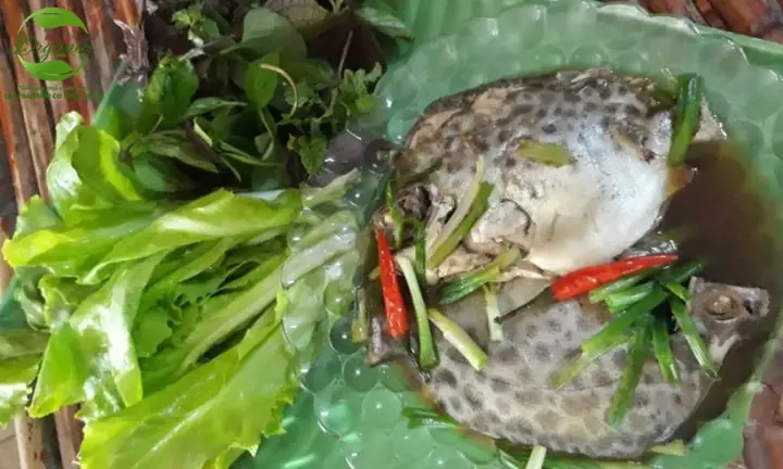 Cá Nâu Kho Lạt Cá Nâu Kho Lạt