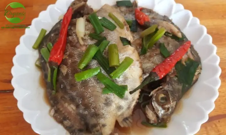 Hướng Dẫn Làm Cá Nâu Kho Hành Ớt Đậm Đà, Đưa Cơm Hướng Dẫn Làm Cá Nâu Kho Hành Ớt Đậm Đà, Đưa Cơm