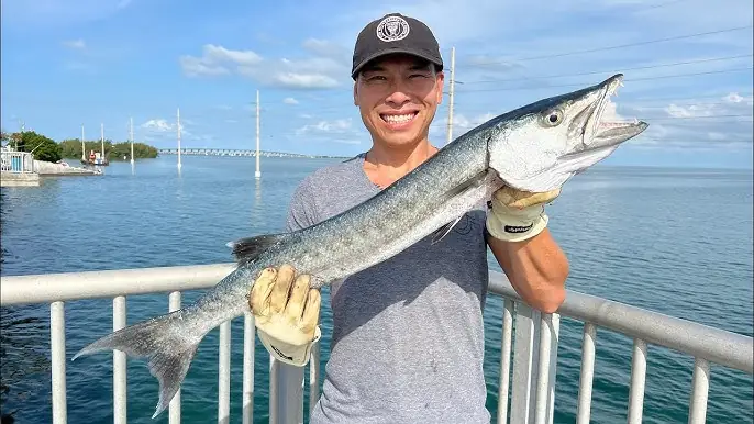 Cá Nâu Tiếng Anh Là Gì?