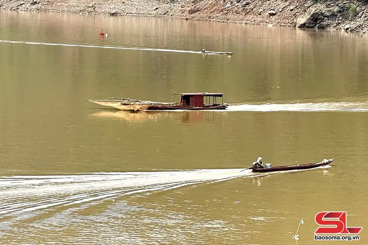 Cá Nến Sông Đà Cá Nến Sông Đà