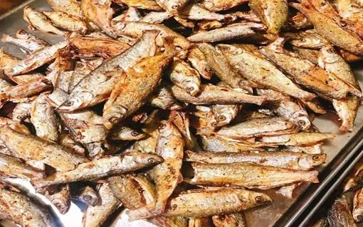 Cá Ngão - Đặc Sản Thơm Ngon Của Núi Rừng Tây Bắc | Viết Bởi Vhs