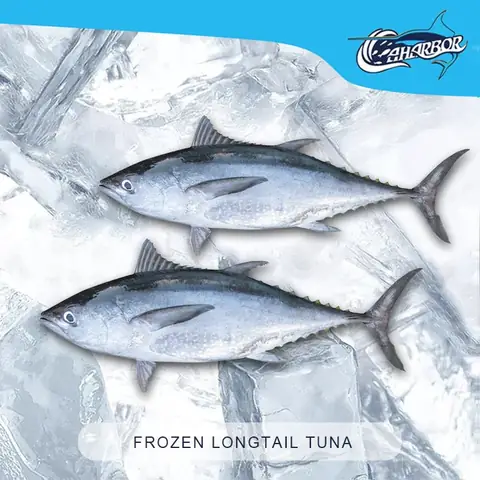 Nhà Cung Cấp, Nhà Máy Cá Ngừ Đuôi Dài Đông Lạnh Trung Quốc ...