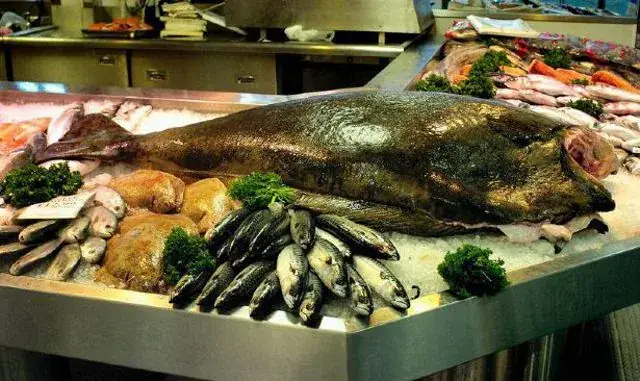 Cá Bơn Lưỡi Ngựa Khổng Lồ Dính Câu Một Cụ Già Na Uy 82 Tuổi, Chứng Minh Là Mẻ Cá Lớn Tại Chợ Cá Arndale Ở Manchester.