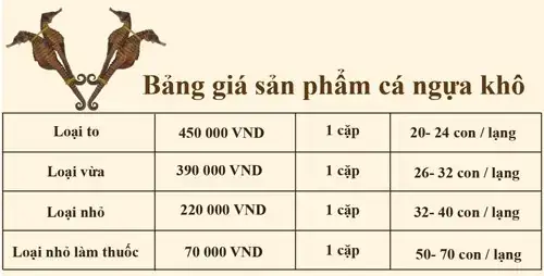 Dấu Hiệu Nhận Biết Cá Ngựa Khỏe Mạnh Dấu Hiệu Nhận Biết Cá Ngựa Khỏe Mạnh