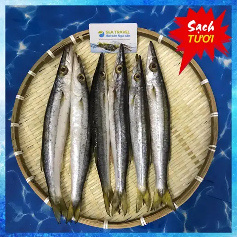 Cá Nhồng - Chuyên Sản Xuất Chế Biến Chả Cá