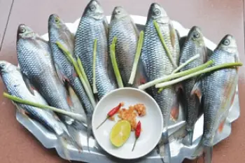 An Lão (bình Định): Cá Niên Tăng Giá – Tạp Chí Thủy Sản Việt Nam An Lão (bình Định): Cá Niên Tăng Giá – Tạp Chí Thủy Sản Việt Nam