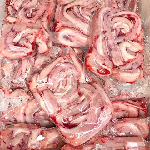 Cá Ninja Hà Nội: Toàn Cảnh Về Loài Cá Dọn Bể & Bảo Tồn Thiên Nhiên