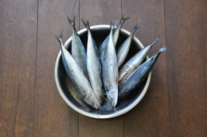 Cá Nục Là Cá Gì Và Có Bao Nhiêu Loại Cá Nục - Món Ngon Mỗi Ngày