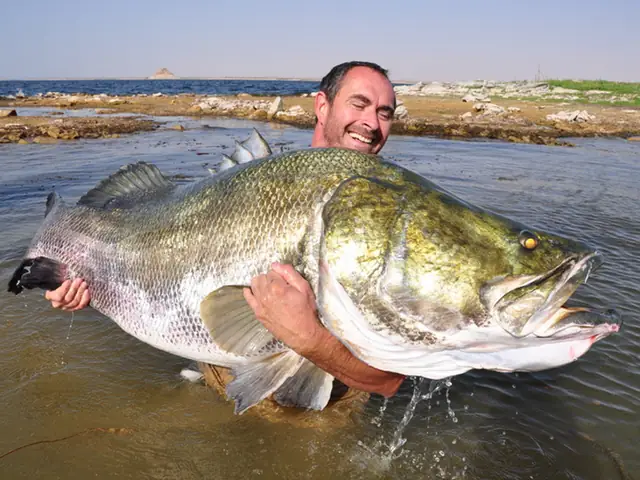 Cá Nước Ngọt Khổng Lồ