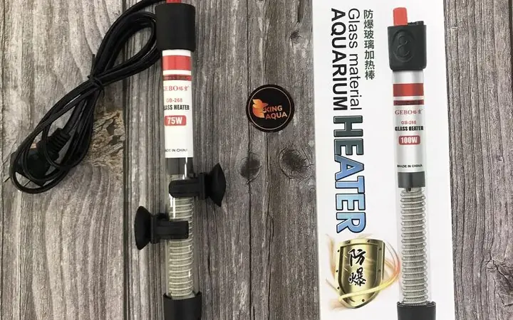 2cách Chăm Sóc Cá Cảnh Trong Bể Để Cá Khỏe Mạnh