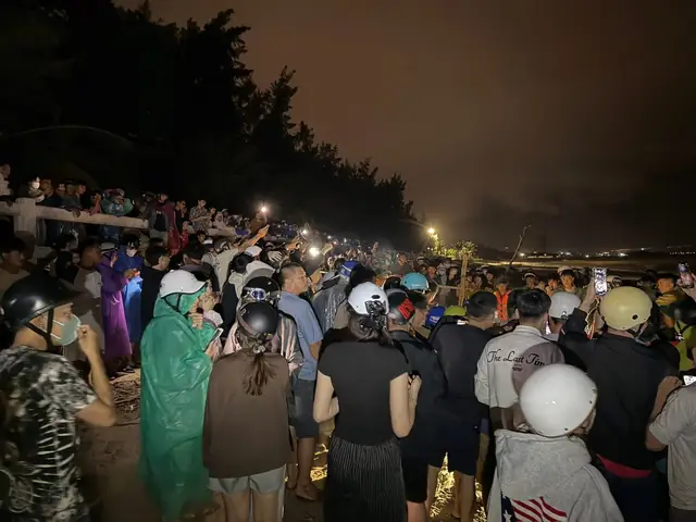 Cá Ông “lụy Bờ” – Điềm Thiêng Hay Cảnh Báo Thiên Nhiên?